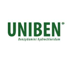 UNIBEN logo